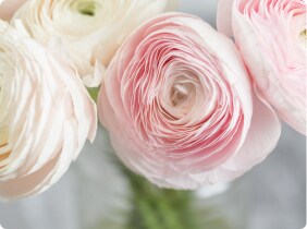 Perry's Florist - Birthday Arrangements